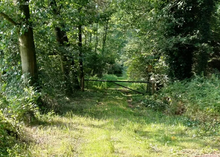 شاليه Molenheide